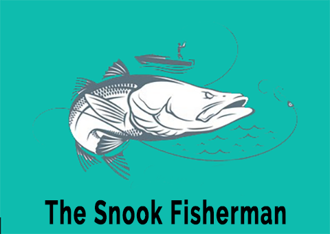 Paul - THE SNOOK FISHERMAN